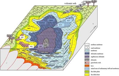 Nuclear magnetic resonance response characteristics and quantitative evaluation method of fluid saturation of lacustrine shale oil